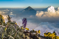 view from Acatenango to volcano Aqua