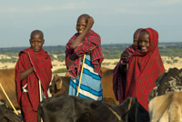 Maasai kids - they start to look after the animals at a very young age