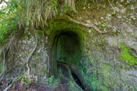 typical small tunnel on Levada tracks